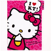 cute pink Hello Kitty A4 plastic file folder 5-pocket - Folder ...